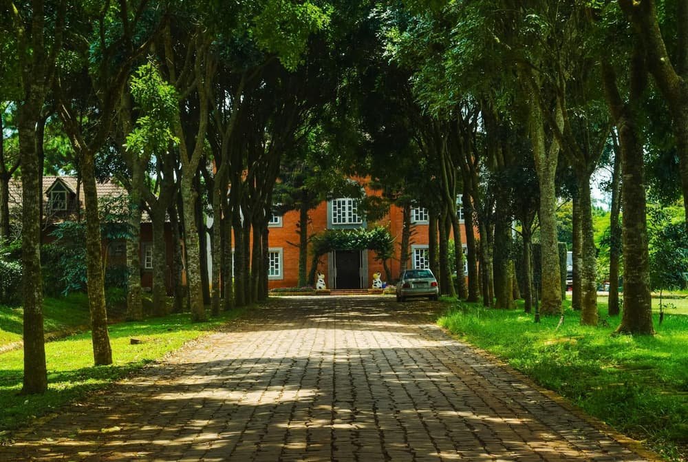 Garage door services in Avon